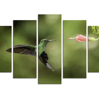 Canvastavla Animals 5-pack Flerfärgad - 20x60 cm