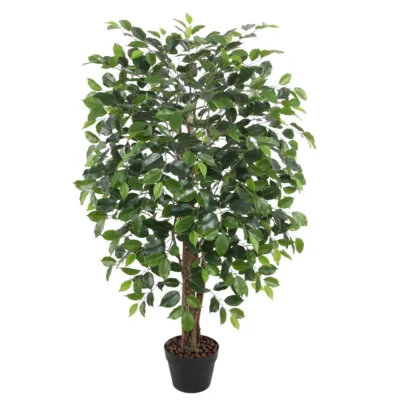Grön Växt Ficus H120 cm 1 Gren Svart Kruka -