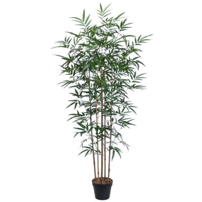 Grön växt BAMBOO H150cm 5 grenar svart kruka -