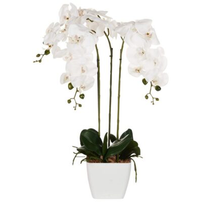 Konstgjord växt Orchid 22x22x59 cm - 22x22x59 cm