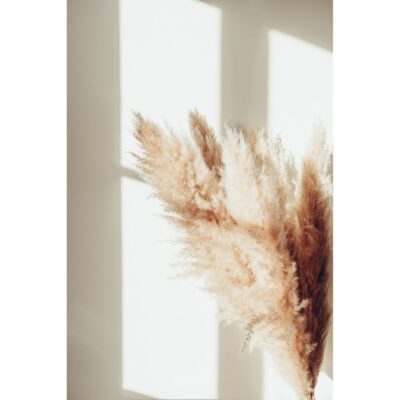 Poster Pampas 30x40 cm - Beige
