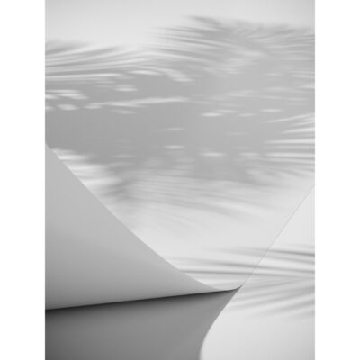Poster Papyrus 70x100 cm - Vit
