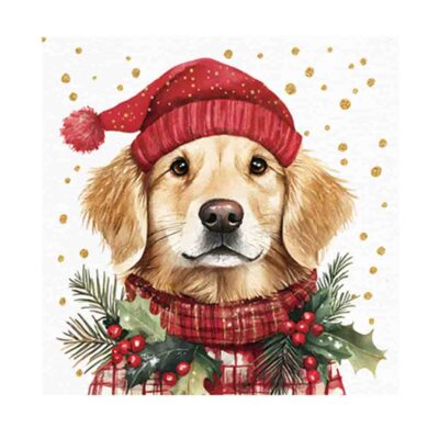 Servetter Simon i röd luva