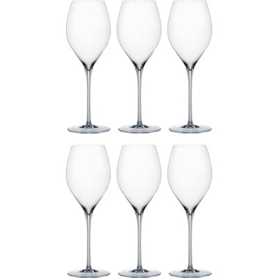 Special Glasses champagneglas 45 cl 6-pack